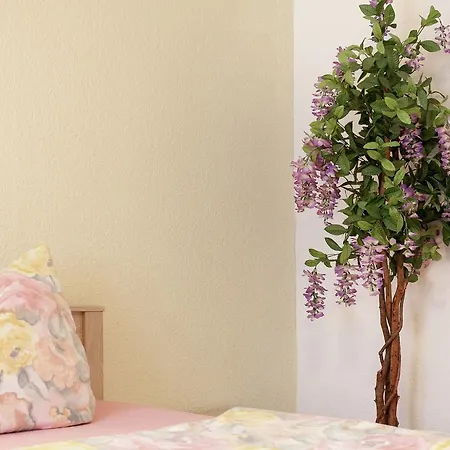 Apartmán Ferienwohnung Thuringer Wald 2 Altenfeld (Thuringia)